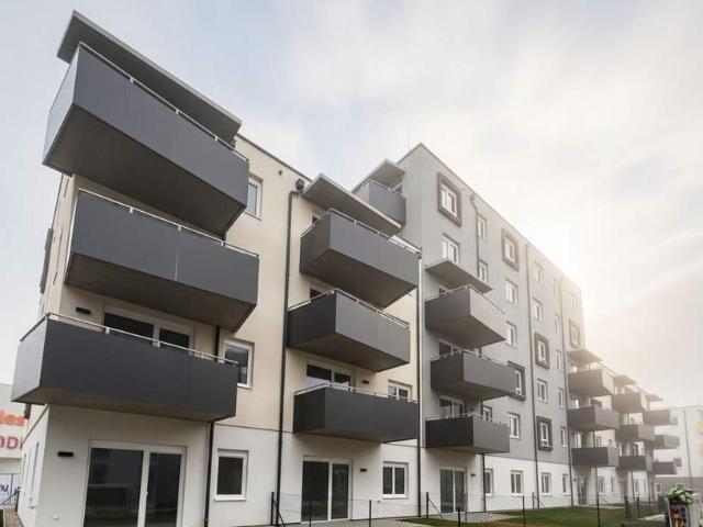 Wohnung mieten in Neustadtl an der Donau, Niederösterreich
