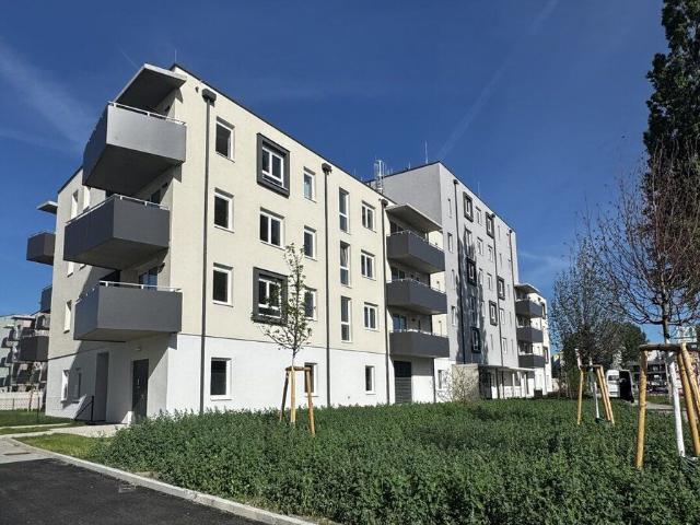 Apartment mieten in Wohnhausanlage Porsche-Viertel, Wiener Neustadt