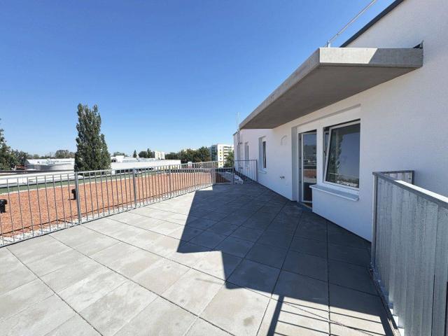 Apartment mieten in Wohnhausanlage Porsche-Viertel, Wiener Neustadt