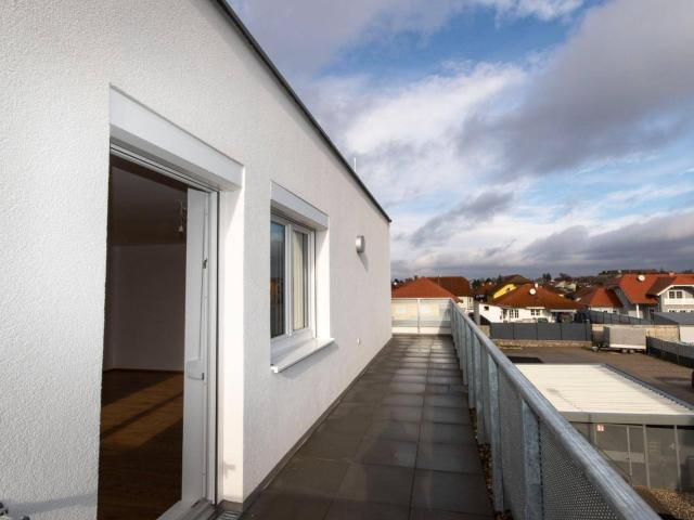 Apartment mieten in Rabensburg