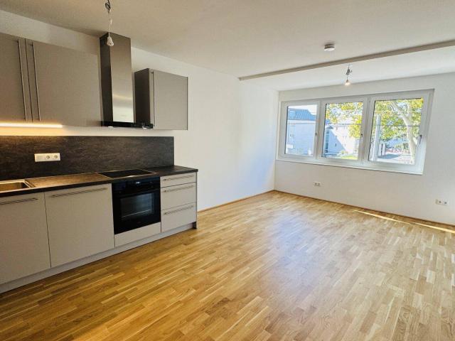 Apartment mieten in KG Lainz, Wien