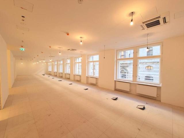 Gewerbe mieten in Innere Stadt, Wien