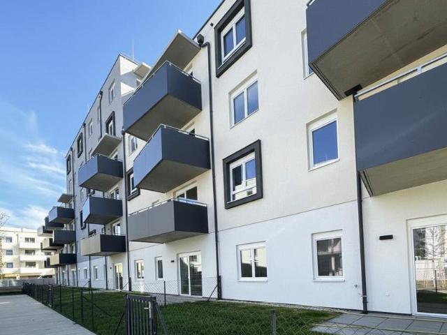 Wohnung mieten in Neustadtl an der Donau, Niederösterreich