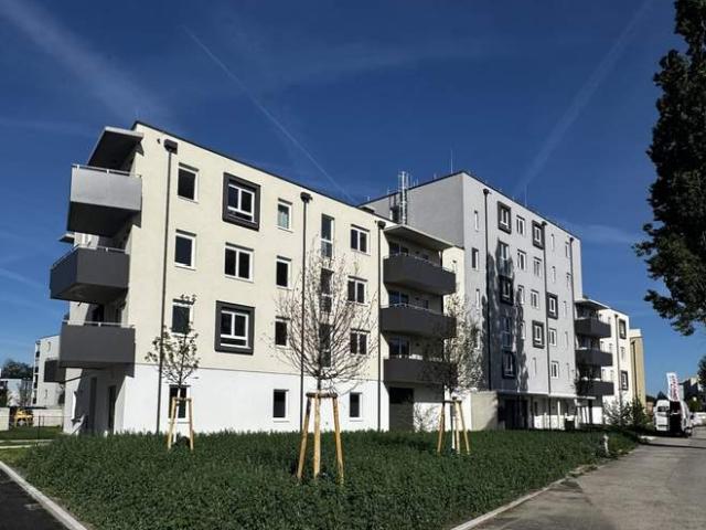 Wohnung mieten in Neustadtl an der Donau, Niederösterreich