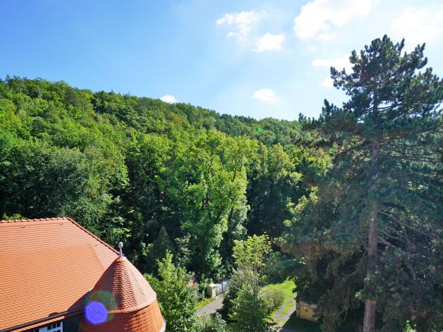 Apartment mieten in Saalhausen, Freital