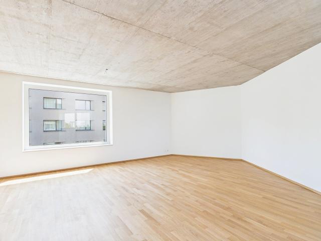 Wohnung mieten in Grossbasel, Basel