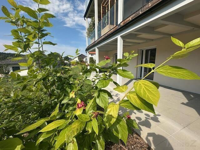 Apartment kaufen in Laßnitzhöhe, Steiermark