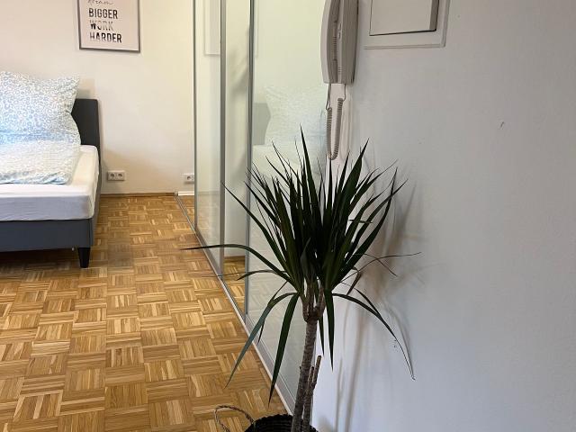 Apartment mieten in Bernsdorf, Chemnitz