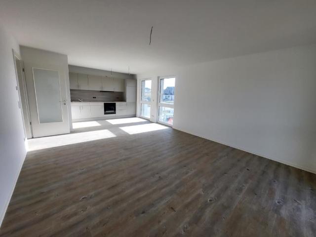 Apartment mieten in Cammin, Mecklenburg-Vorpommern