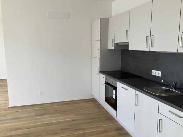 Wohnung mieten in Viktring, Klagenfurt