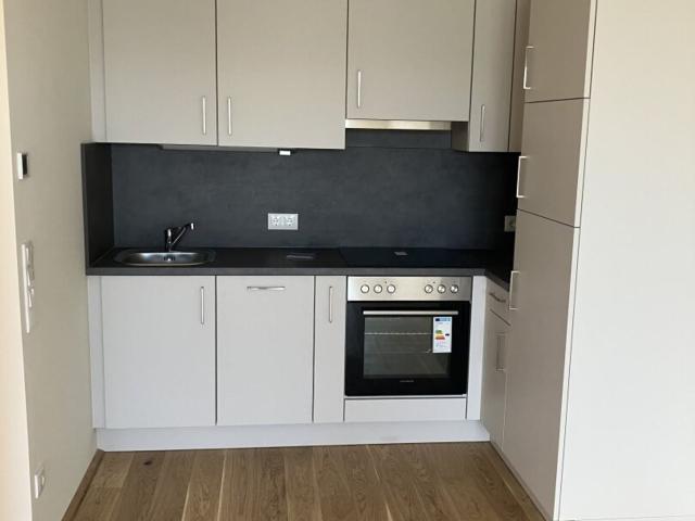 Wohnung mieten in Viktring, Klagenfurt