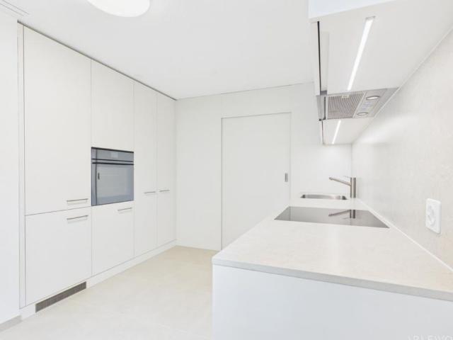 Apartment mieten in Ebikon, Lü