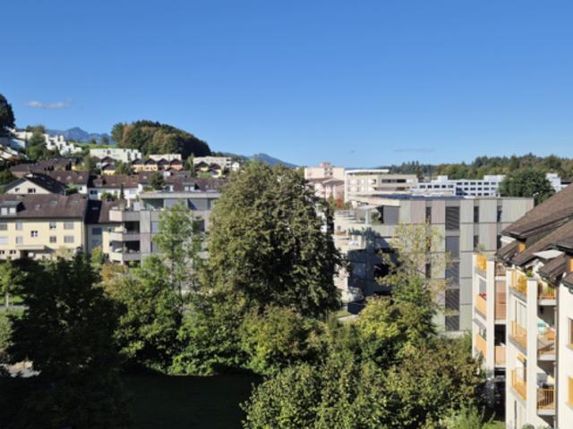 Apartment mieten in Ebikon, Lü