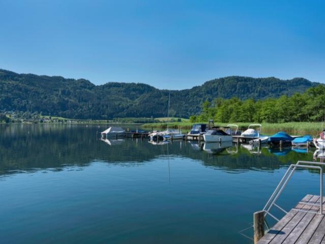 Wohnung kaufen in Steindorf am Ossiacher See, Kärnten