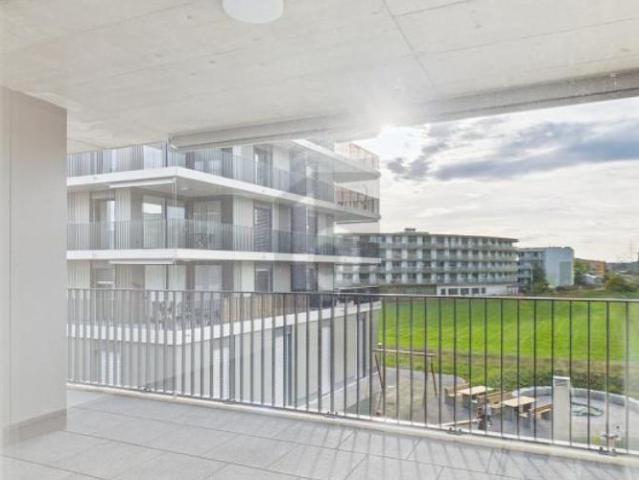 Apartment mieten in Buchs (ZH), Bezirk Dielsdorf