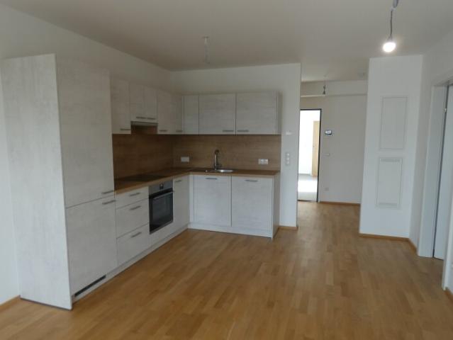 Wohnung mieten in Breitenbrunn am Neusiedler See, Burgenland