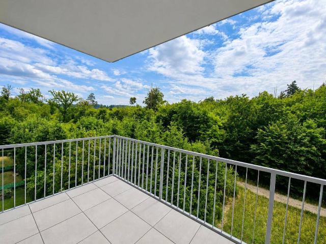 Apartment mieten in Münichholz, Steyr