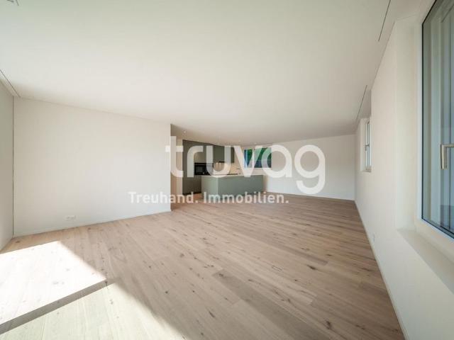 Apartment mieten in Burg, Triengen