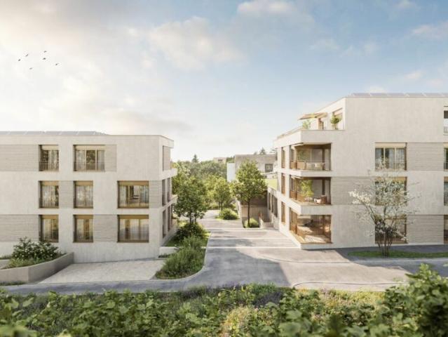 Wohnung mieten in Küttigen, Aargau