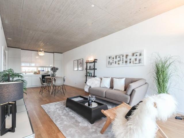 Apartment mieten in Aesch (BL), Basel-Landschaft