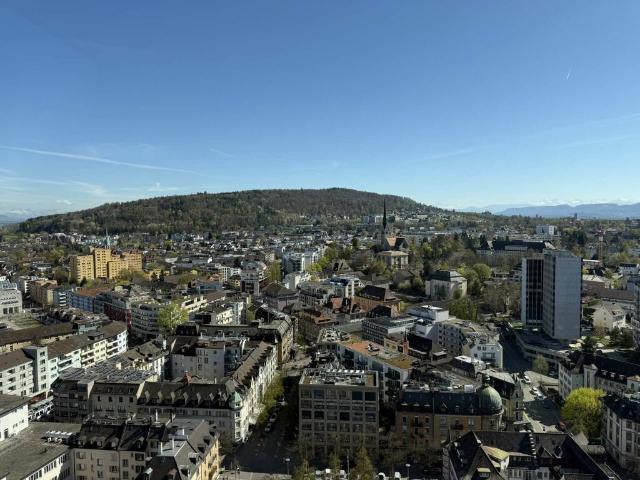 Wohnung mieten in Einigen, Zürich