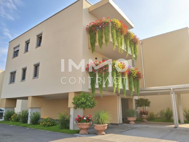 Wohnung mieten in Eisenstadt, Burgenland