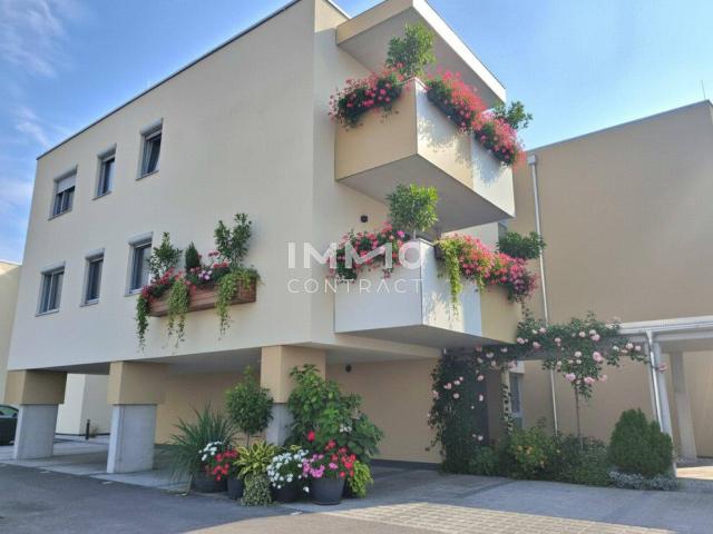 Apartment mieten in Eisenstadt, Burgenland