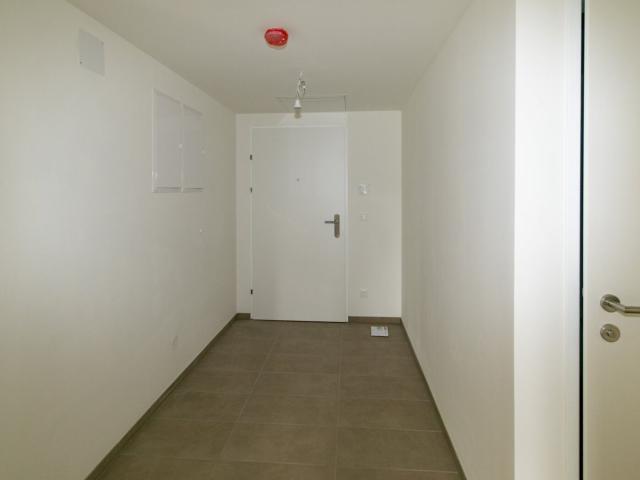 Wohnung mieten in Großstelzendorf, Göllersdorf