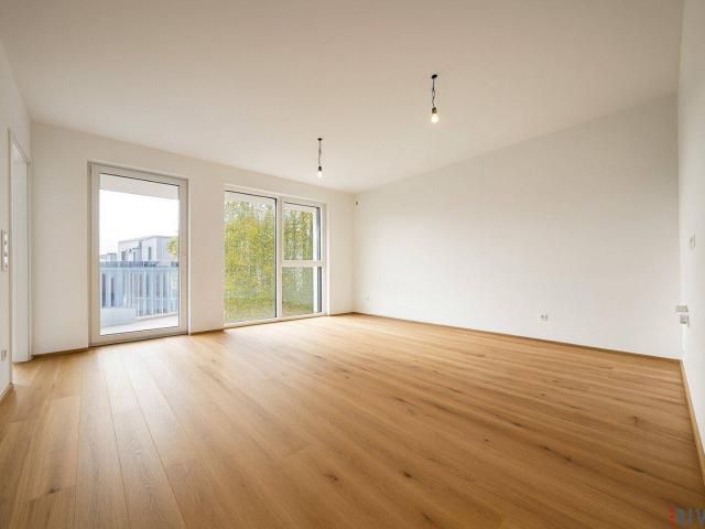 Apartment kaufen in Liesing, Wien