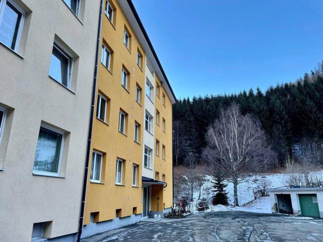 Apartment mieten in Vordernberg, Steiermark