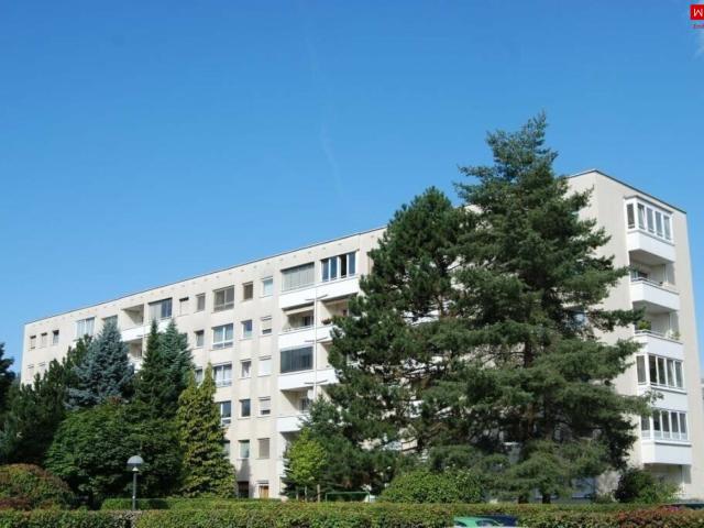 Apartment mieten in Bindermichl-Keferfeld, Linz