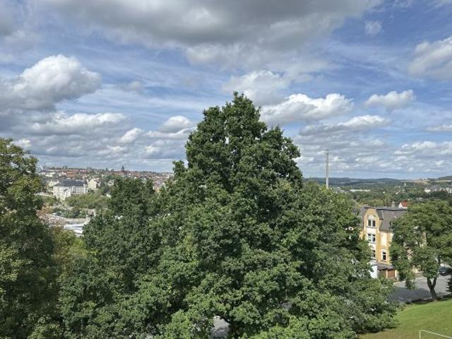 Wohnung mieten in Ostvorstadt, Plauen