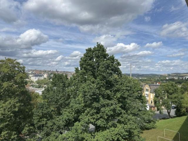 Apartment mieten in Ostvorstadt, Plauen