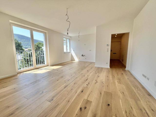 Apartment kaufen in Katastralgemeinde Hinterbrühl, Hinterbrühl