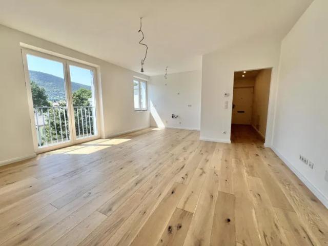 Apartment mieten in Katastralgemeinde Hinterbrühl, Hinterbrühl