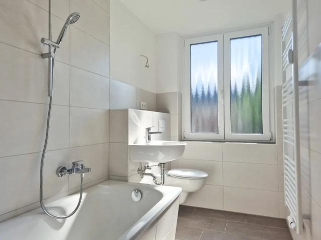 Apartment mieten in Altchemnitz, Chemnitz