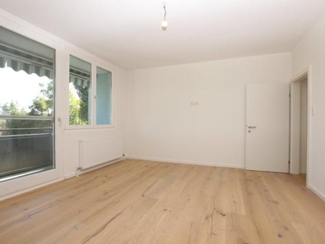 Wohnung kaufen in Bisamberg, Niederösterreich