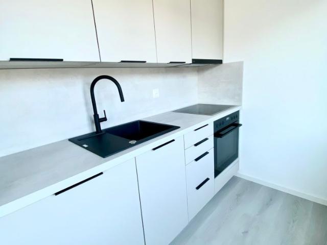 Apartment mieten in Wettingen, Bezirk Baden