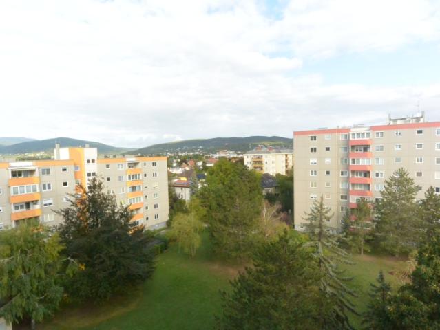 Wohnung mieten in Baden, Niederösterreich