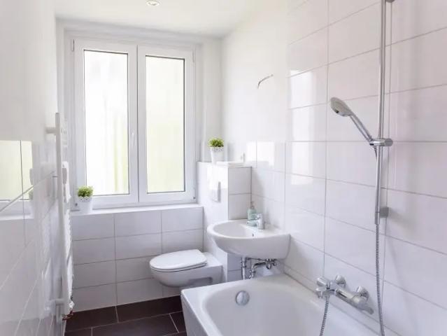 Apartment mieten in Altchemnitz, Chemnitz