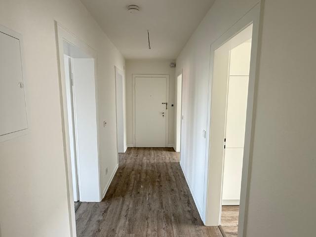 Apartment mieten in Uetersen, Schleswig-Holstein