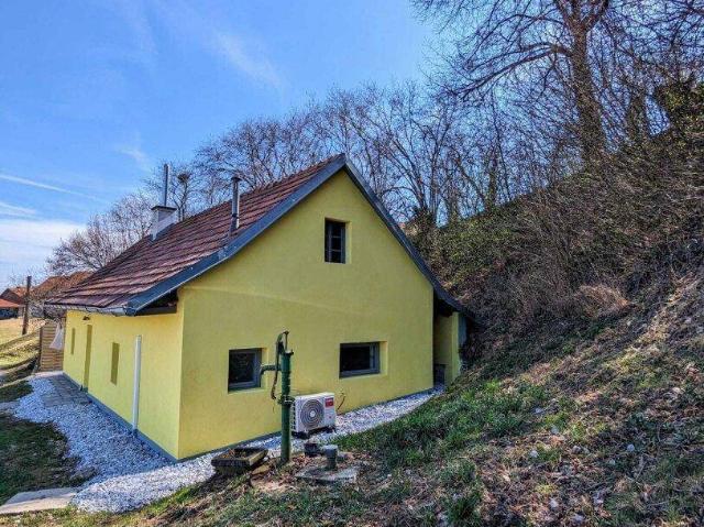 Haus kaufen in Ilz, Steiermark