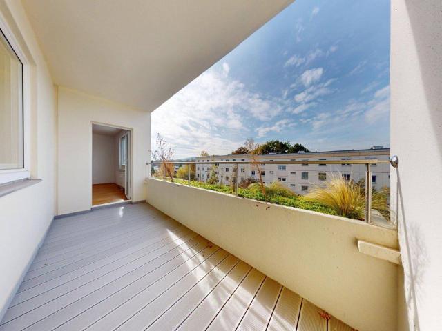 Apartment kaufen in Maria Enzersdorf, Niederösterreich