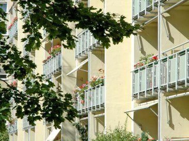 Apartment mieten in Johannstadt, Dresden