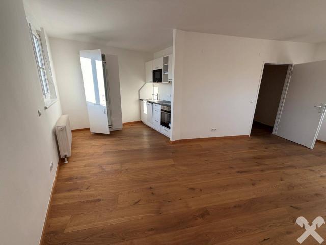 Apartment mieten in Katastralgemeinde Innere Stadt, Graz