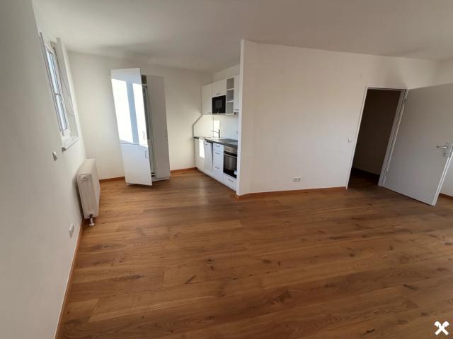 Apartment mieten in Katastralgemeinde Ragnitz, Graz