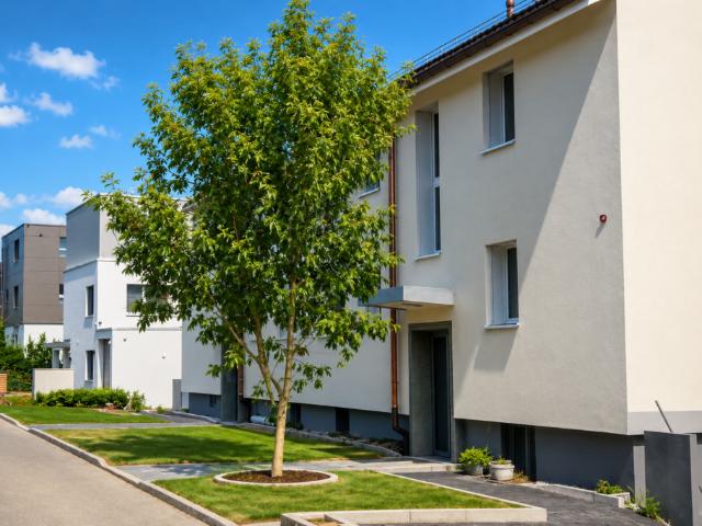 Wohnung mieten in Oberengstringen, Zürich