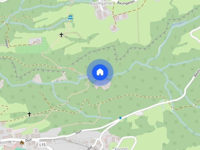 Apartment mieten in Rickenbach, Wolfurt