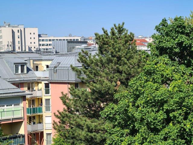 Apartment kaufen in Wien