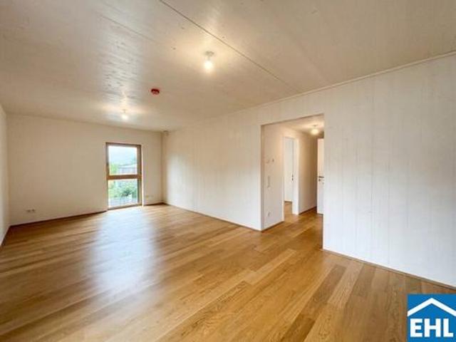Wohnung mieten in Mödling, Bezirk Mödling